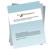 Ecommerce initiative essay picture