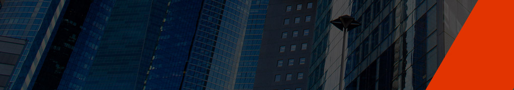 Virtual Real Estate Data Governance Workshop